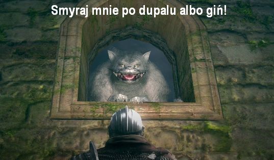 Z padem wśród zwierząt: CAT edition