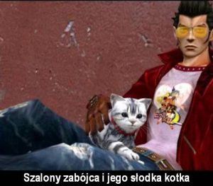 Z padem wśród zwierząt: CAT edition