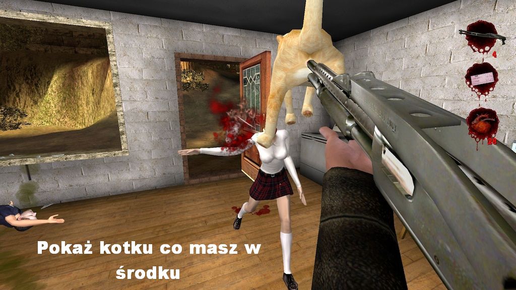 Z padem wśród zwierząt: CAT edition