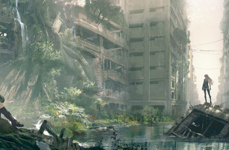 Medytacje nad Nier: Automata