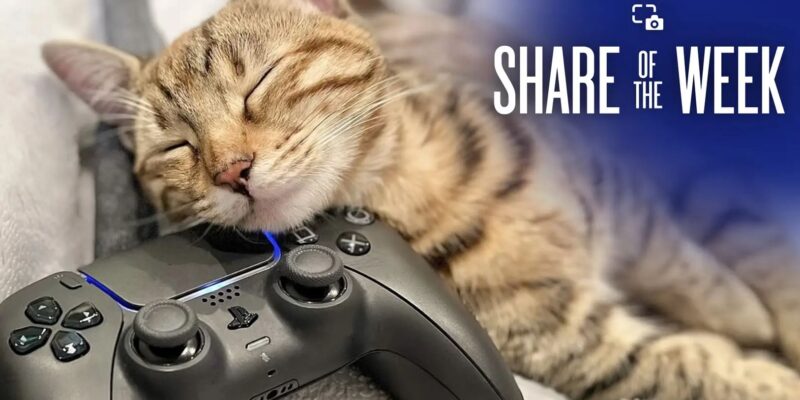 Share of the Week – CATS