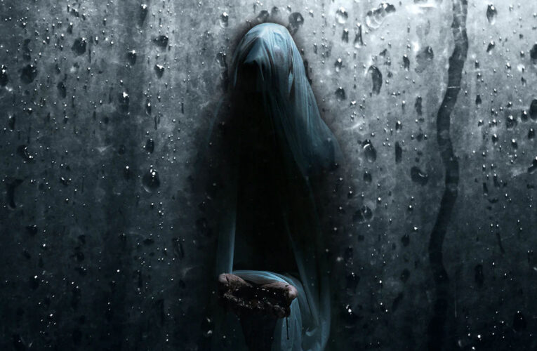 Visage