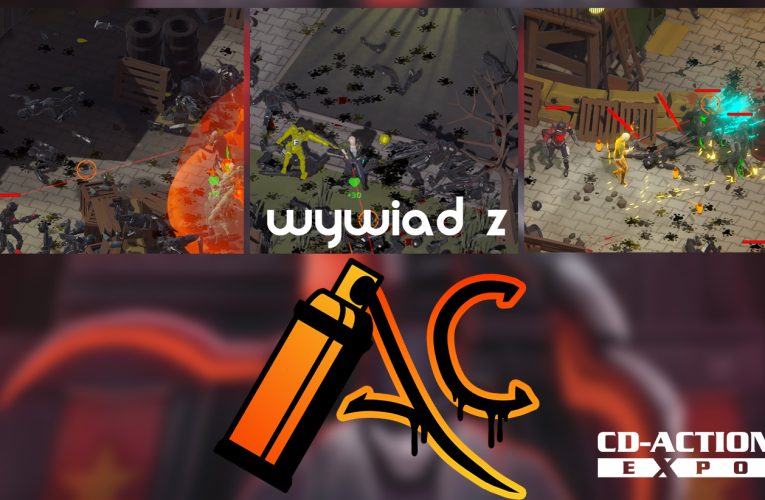 „Chcemy wyeliminować problem Ruinera” – wywiad z Anarchy Creations