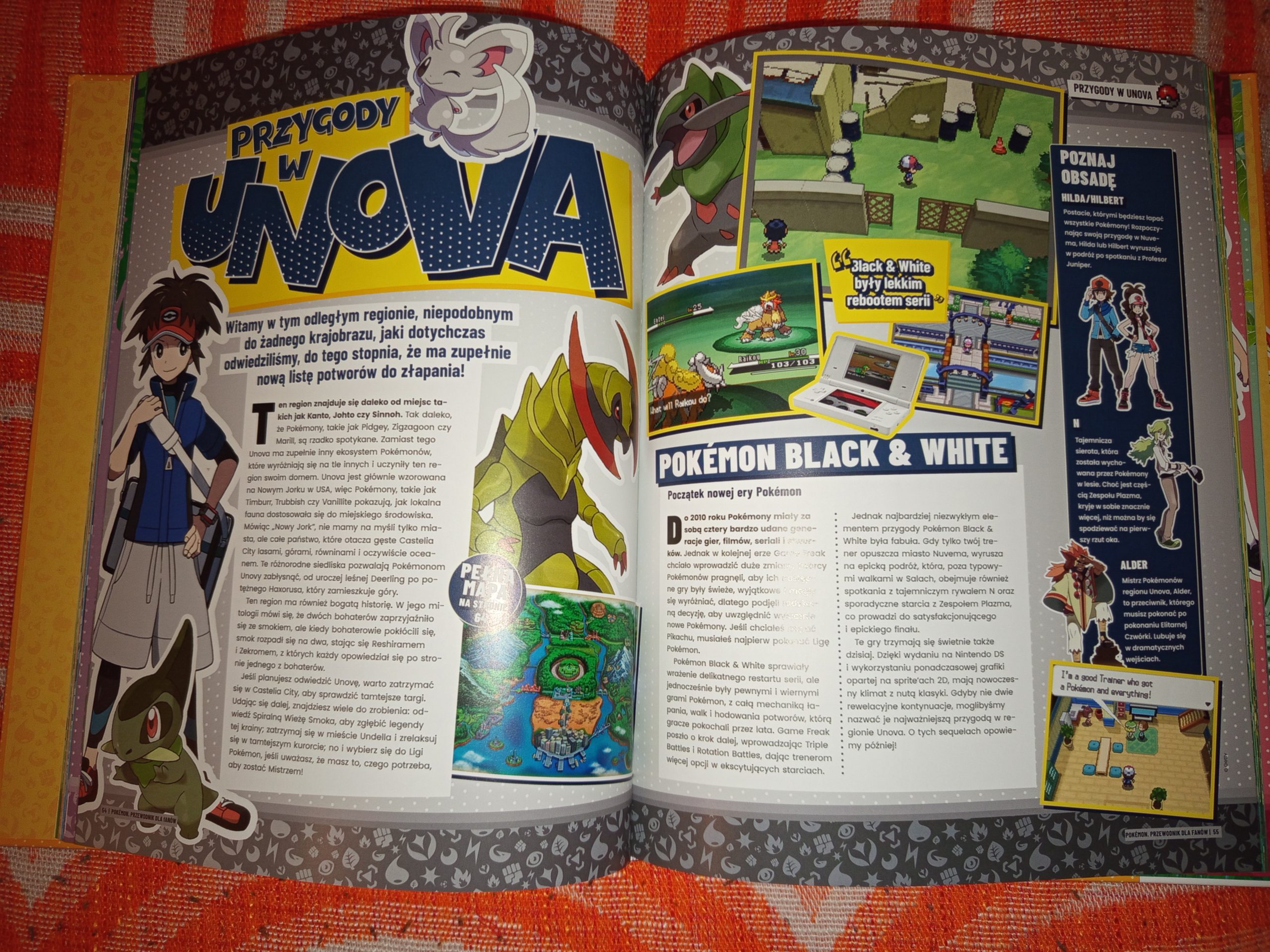 Pokémon: Przewodnik dla fanów Pokémon: Przewodnik dla fanów