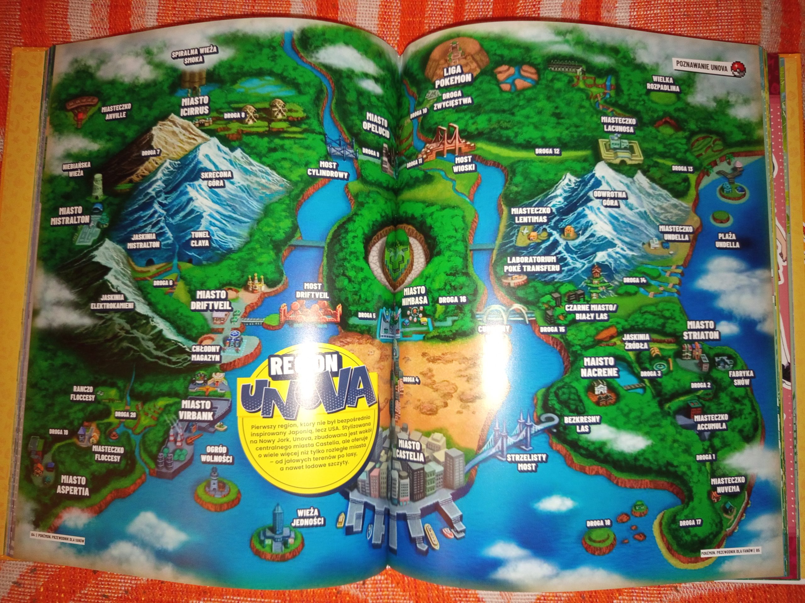 Pokémon: Przewodnik dla fanów Pokémon: Przewodnik dla fanów