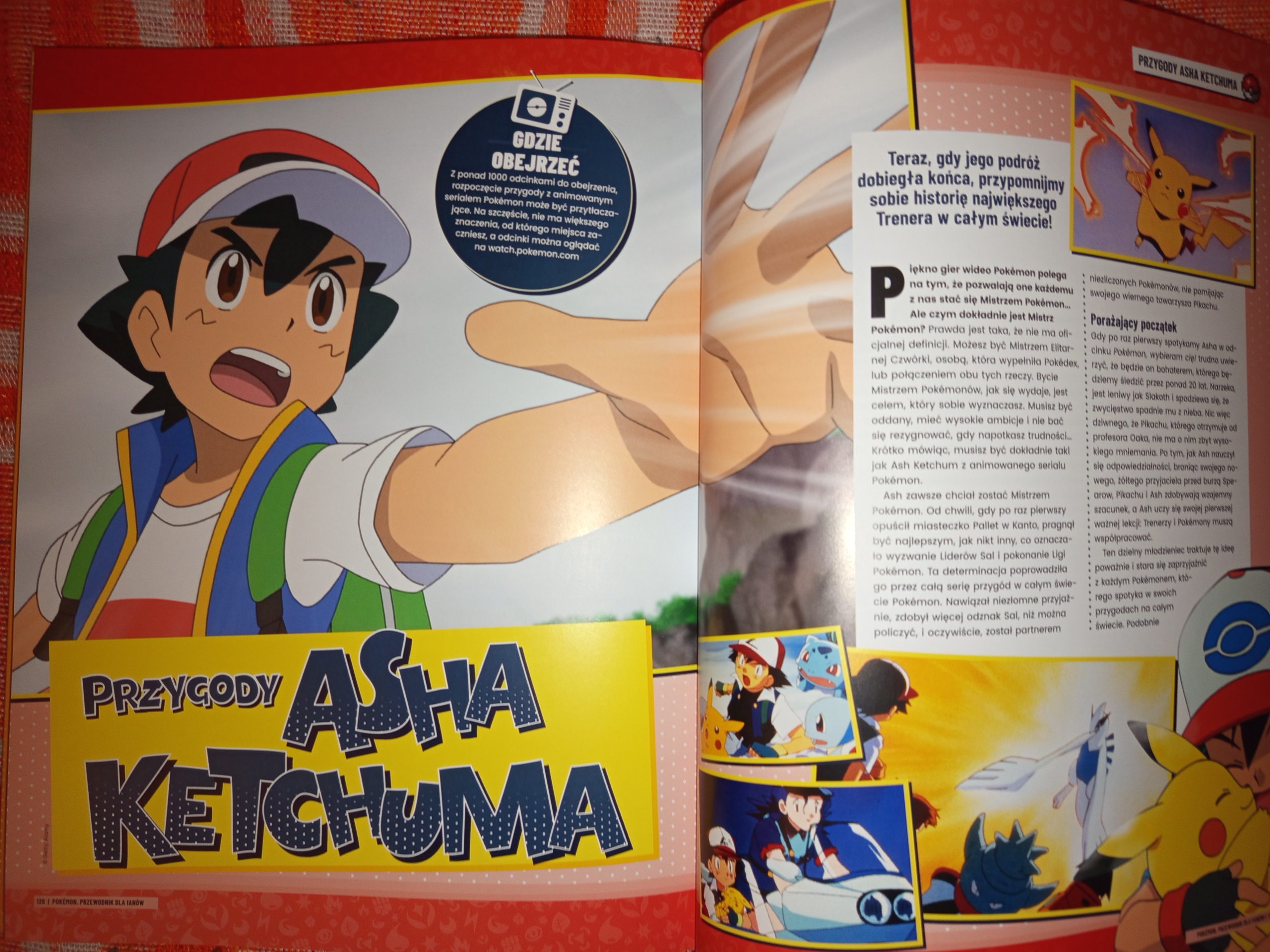 Pokémon: Przewodnik dla fanów Pokémon: Przewodnik dla fanów